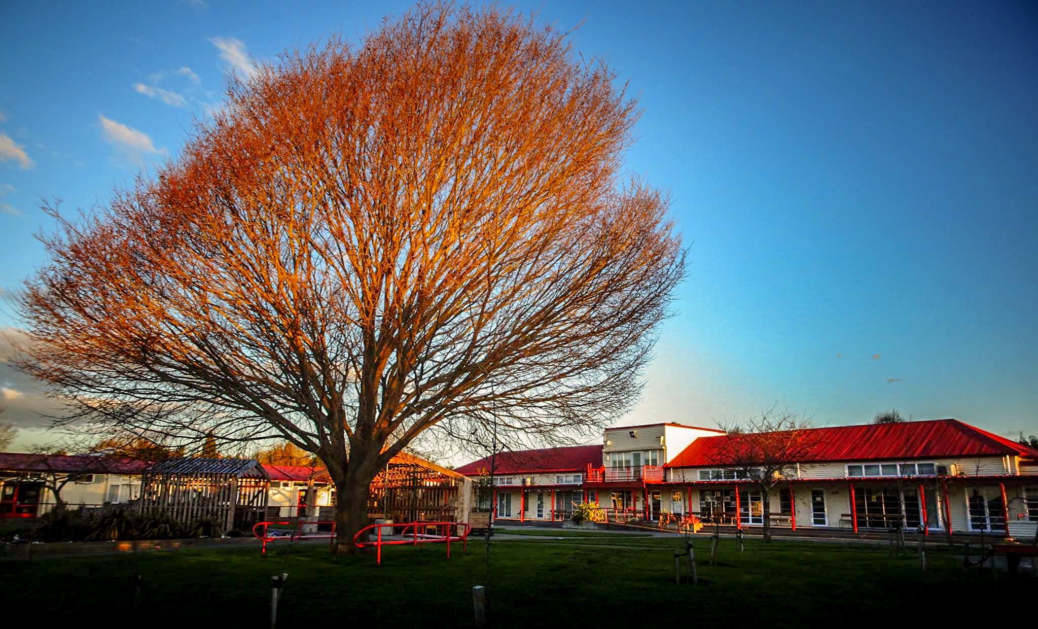 Home - Phillipstown
